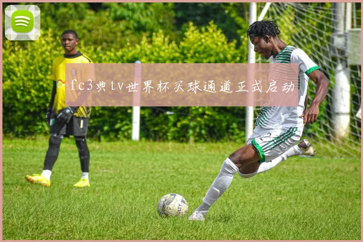 fc3典tv世界杯买球通道正式启动