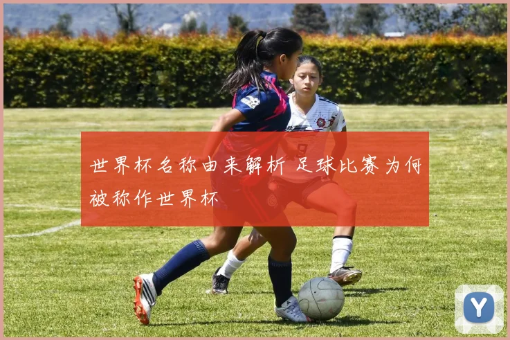 世界杯名称由来解析 足球比赛为何被称作世界杯