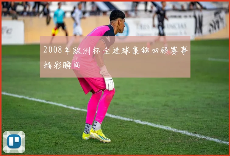 2008年欧洲杯全进球集锦回顾赛事精彩瞬间