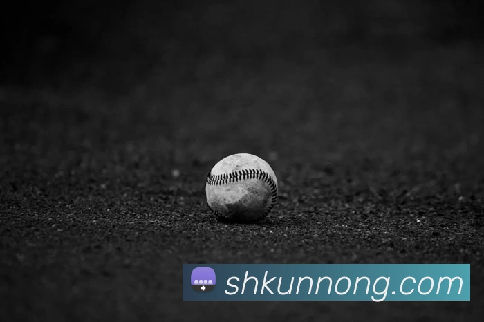 压球首页发展历程