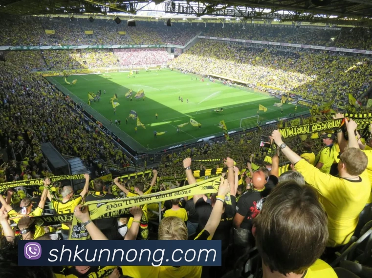 奥运会金牌榜更新 中国队排名变化成焦点 体育赛事竞争持续升温